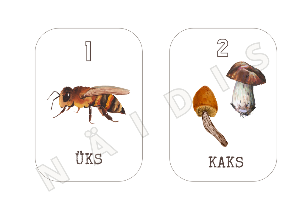 Numbrikaardid 1–10 (prinditav PDF)