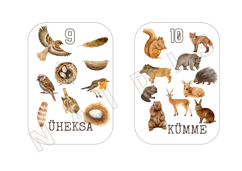 Numbrikaardid 1–10 (prinditav PDF)