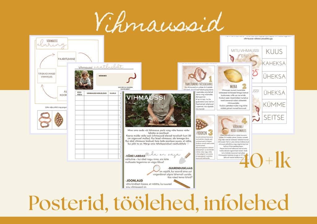 Vihmaussi õppematerjalide komplekt (40+ lehte, prinditav PDF)