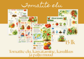 🍅 Tomati õppekomplekt lastele | Töölehed tomati kasvatamise ja eluringi kohta