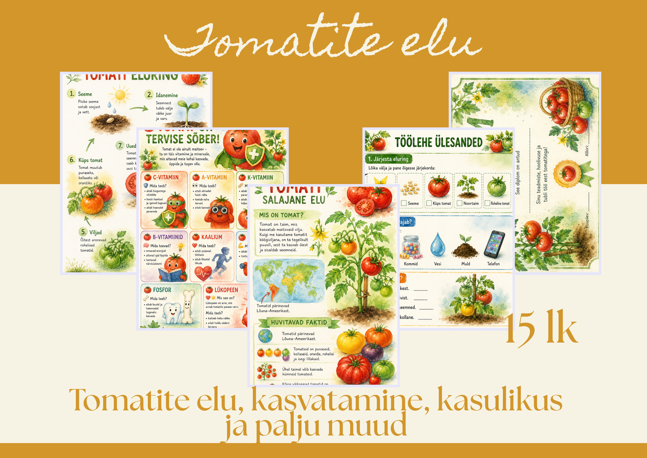 🍅 Tomati õppekomplekt lastele | Töölehed tomati kasvatamise ja eluringi kohta