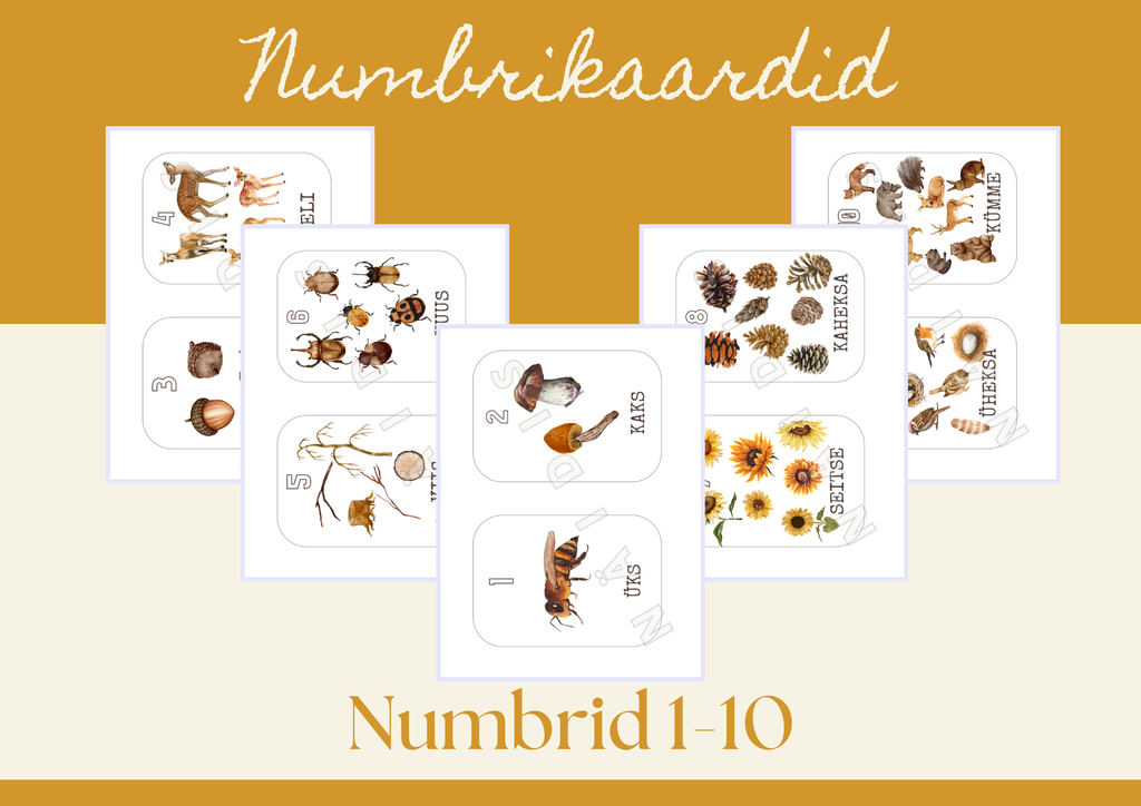 Numbrikaardid 1–10 (prinditav PDF)