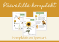 Päevalille õppekomplekt lastele – elutsükkel, taime ehitus ja looduspostrid (prinditav PDF)